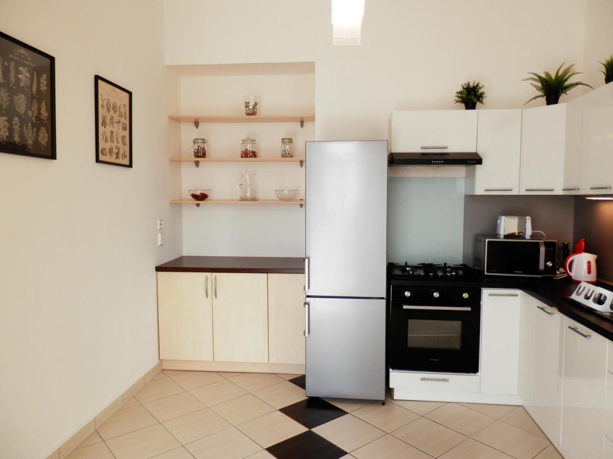 Spacious Apartment Below Spilberk Castle Брно Екстер'єр фото