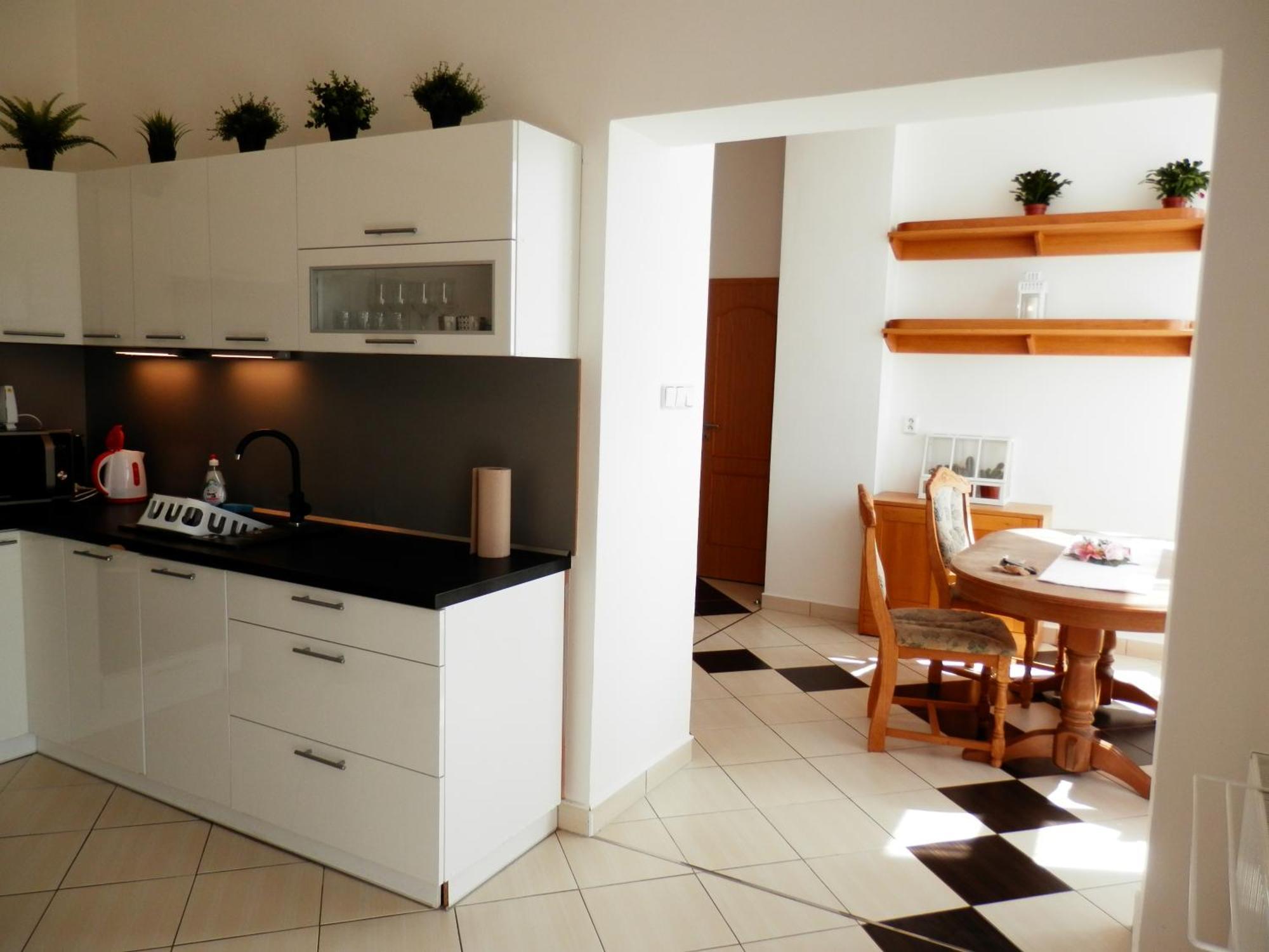 Spacious Apartment Below Spilberk Castle Брно Екстер'єр фото